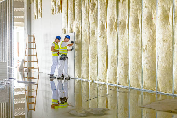 Best Insulation Replacement Services  in Barnum Island, NY